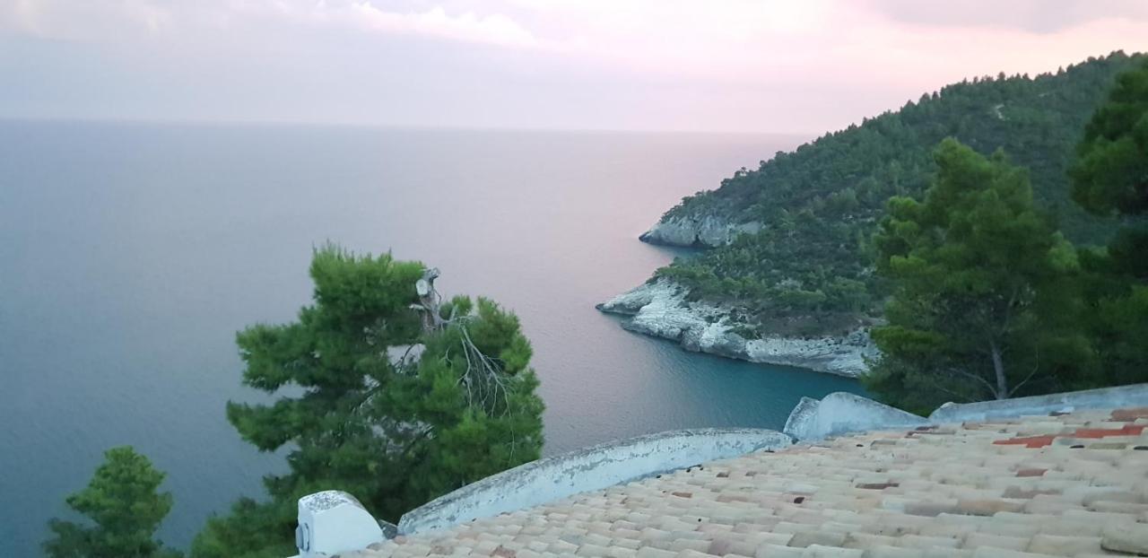 Villa Cala Della Pergola Vieste Ngoại thất bức ảnh