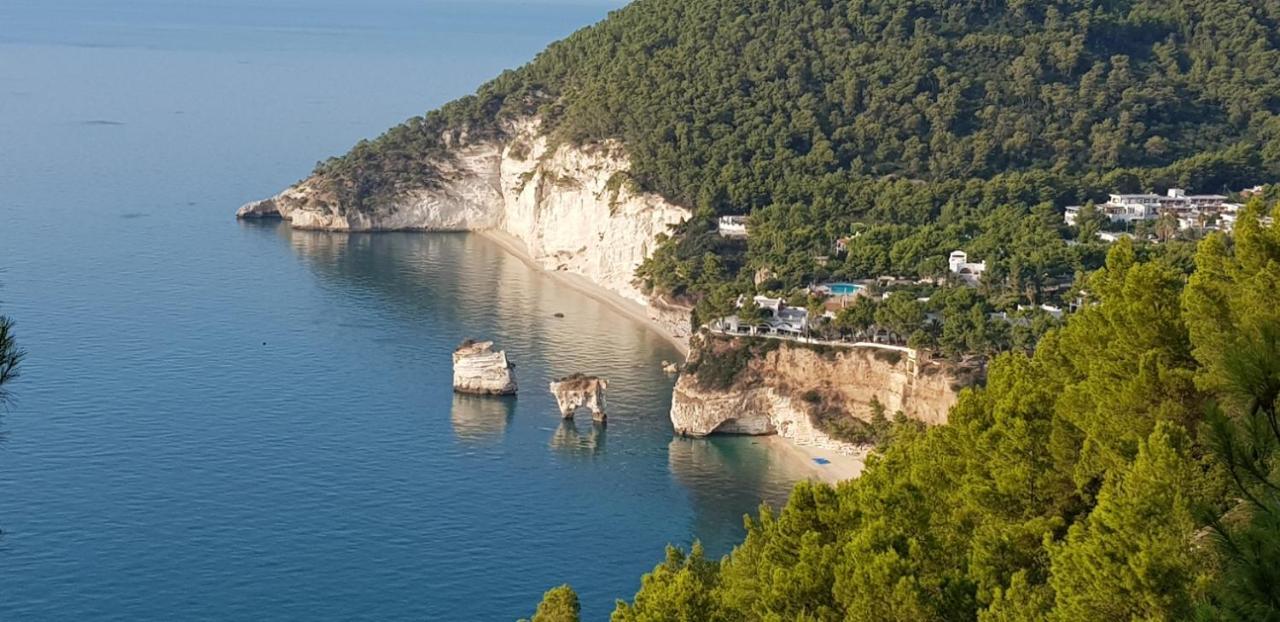 Villa Cala Della Pergola Vieste Ngoại thất bức ảnh